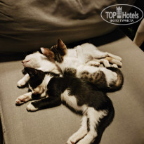 фото из отзыва ID 2728260