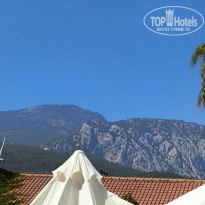 фото из отзыва ID 2728260