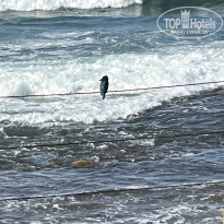 фото из отзыва ID 2728223