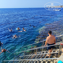 фото из отзыва ID 2728269