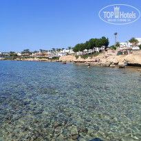 фото из отзыва ID 2728269