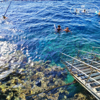 фото из отзыва ID 2728269