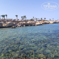 фото из отзыва ID 2728269