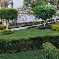 фото из отзыва ID 2728269