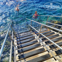 фото из отзыва ID 2728269