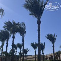 фото из отзыва ID 2728294