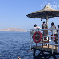 фото из отзыва ID 2728294