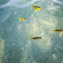 фото из отзыва ID 2728294