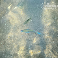 фото из отзыва ID 2728294