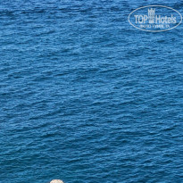 фото из отзыва ID 2728299