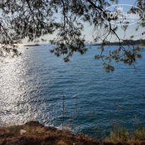 фото из отзыва ID 2728299