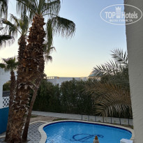 фото из отзыва ID 2728309