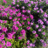 фото из отзыва ID 2728324