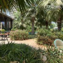 фото из отзыва ID 2728328