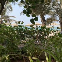 фото из отзыва ID 2728328