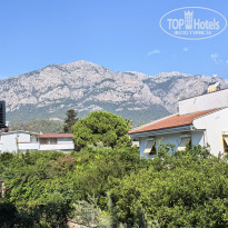 фото из отзыва ID 2728118