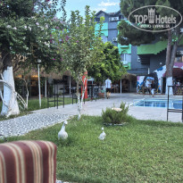 фото из отзыва ID 2728118