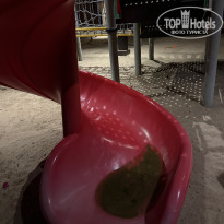 фото из отзыва ID 2728351