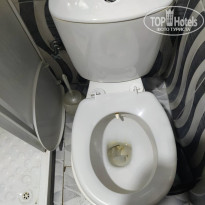 фото из отзыва ID 2727683