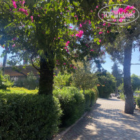 фото из отзыва ID 2728357