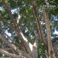 фото из отзыва ID 2728357