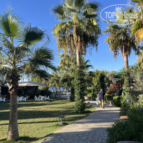 фото из отзыва ID 2728375