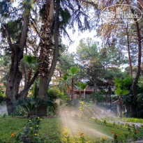 фото из отзыва ID 2728382