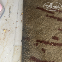 фото из отзыва ID 2728383