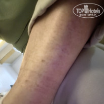 фото из отзыва ID 2728389