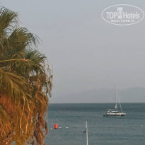 фото из отзыва ID 2728412