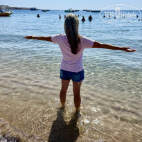 фото из отзыва ID 2728414