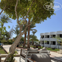 фото из отзыва ID 2728414