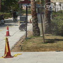 фото из отзыва ID 2728414