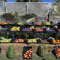 фото из отзыва ID 2728418