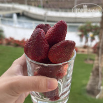 фото из отзыва ID 2728427