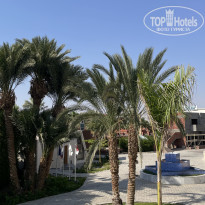 фото из отзыва ID 2728430