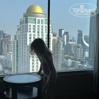 фото из отзыва ID 2728438