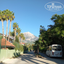 фото из отзыва ID 2728209