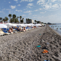 фото из отзыва ID 2728440