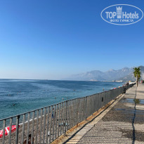 фото из отзыва ID 2728440