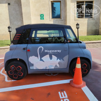 фото из отзыва ID 2728440