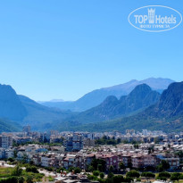 фото из отзыва ID 2728440