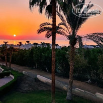 фото из отзыва ID 2728455