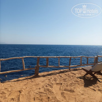 фото из отзыва ID 2728455