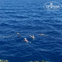 фото из отзыва ID 2728455