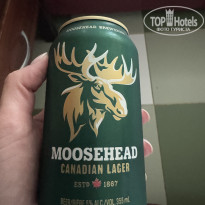 фото из отзыва ID 2728464