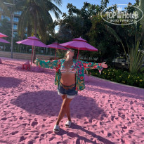 фото из отзыва ID 2728362