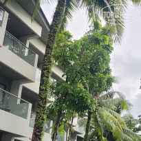 фото из отзыва ID 2728465