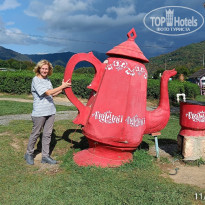 фото из отзыва ID 2728504