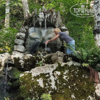 фото из отзыва ID 2728504